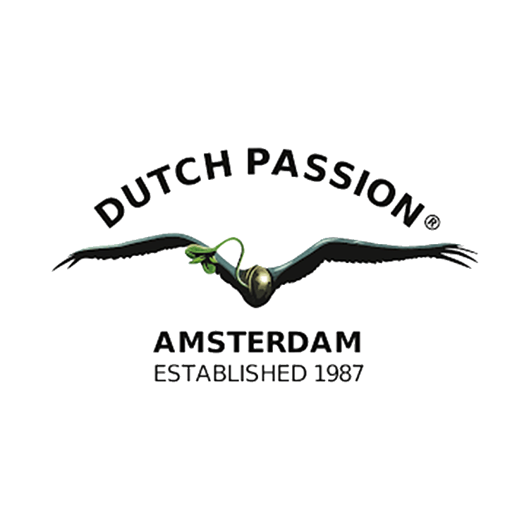 DUTCHPASSION